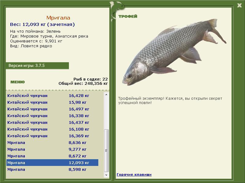 Мригала 
