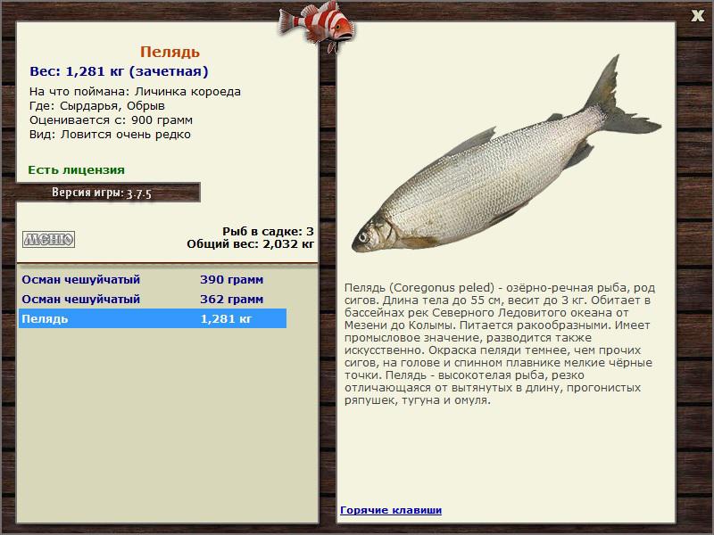 турниры • РУССКАЯ РЫБАЛКА