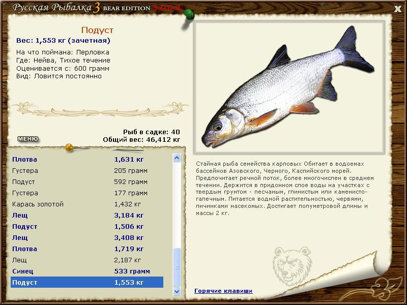 форум игры Русская рыбалка