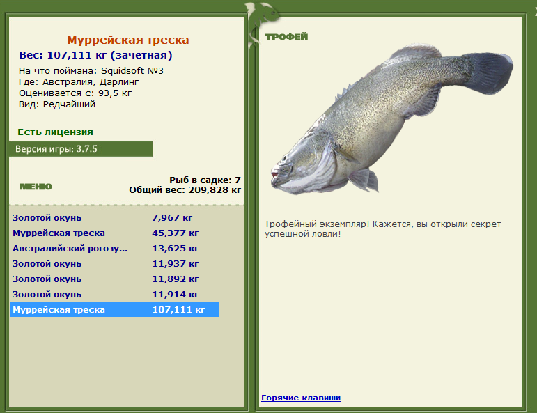 Муррейская треска 