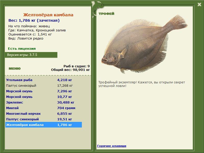 Кроноцкий залив 