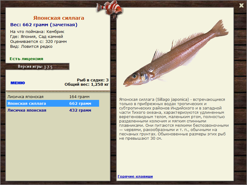 Сад камней 