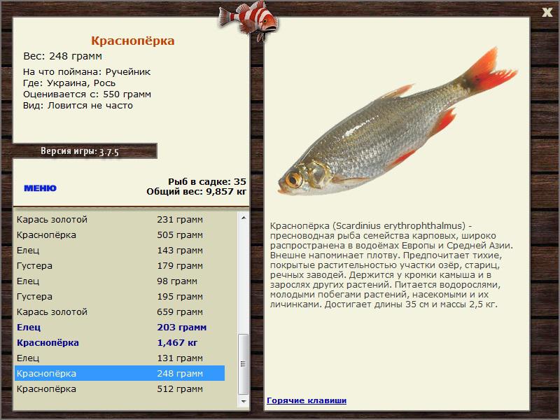 Рось 