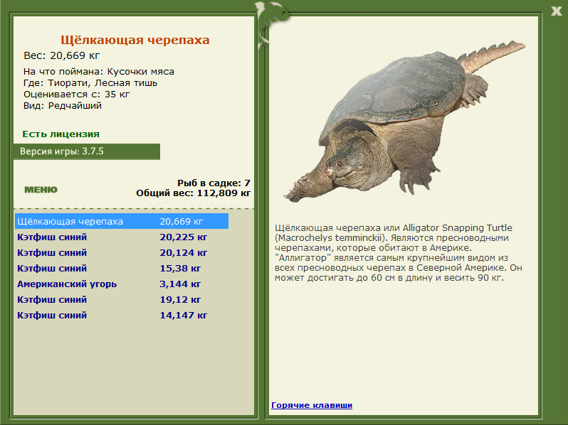 Лесная тишь 