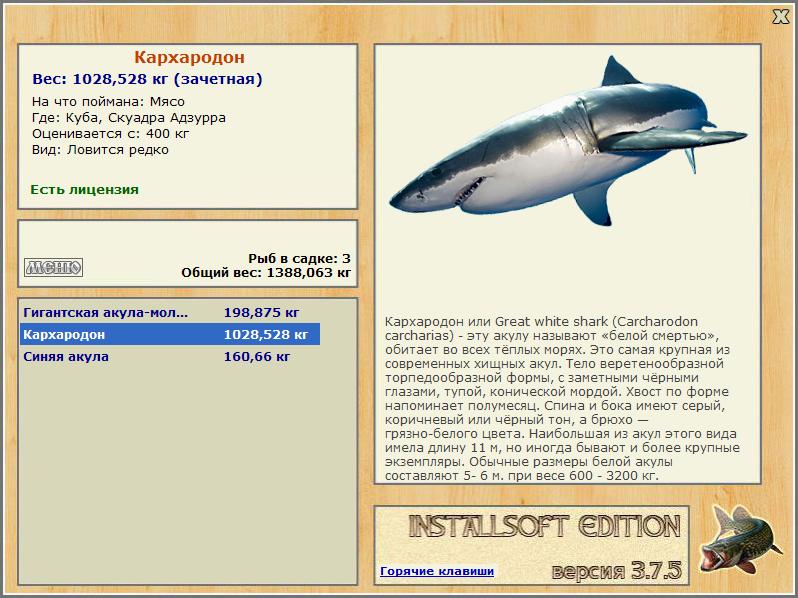 Скуадра Адзурра 