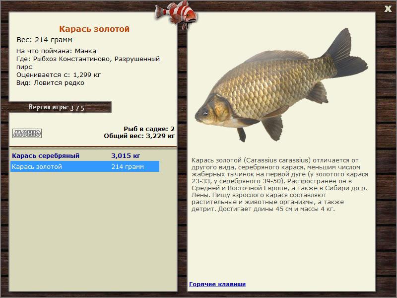 турниры • РУССКАЯ РЫБАЛКА