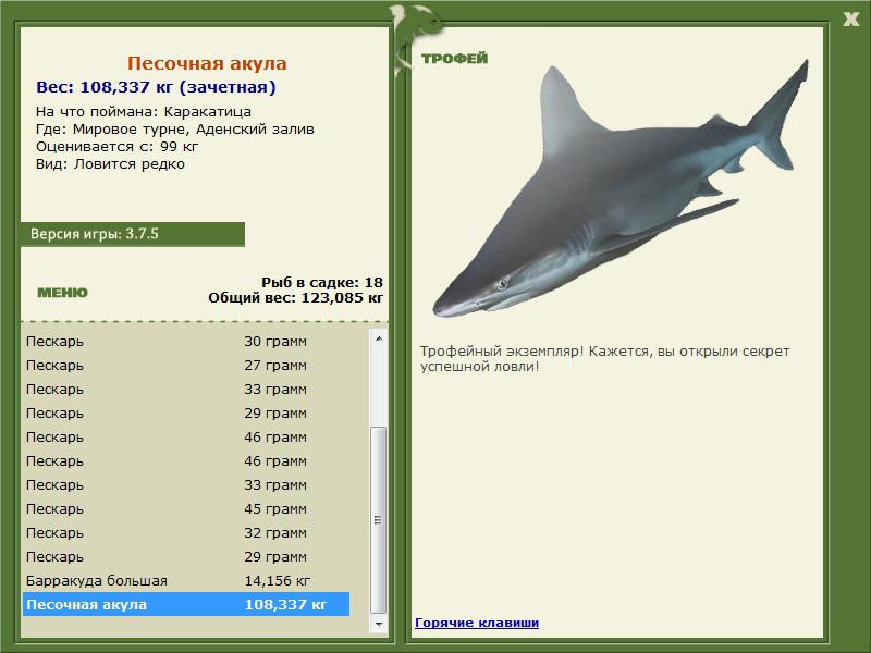 Песочная акула 