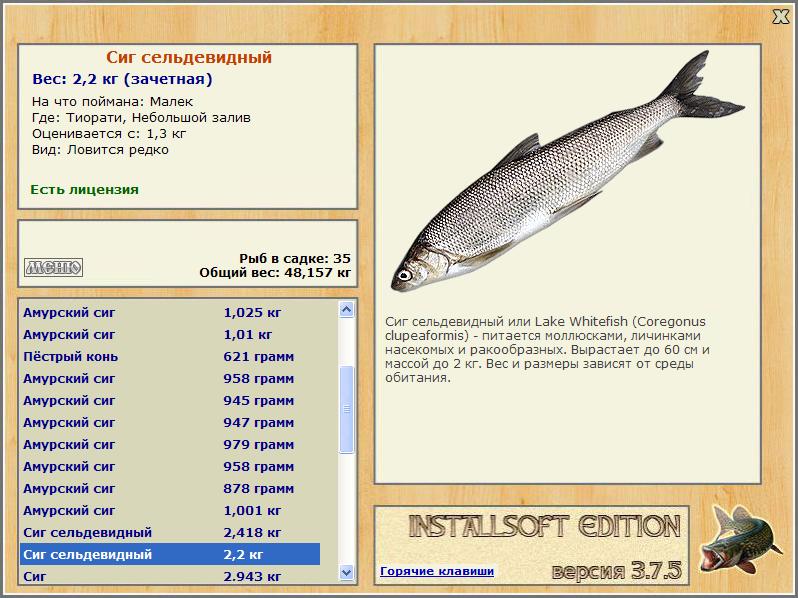 турниры • РУССКАЯ РЫБАЛКА