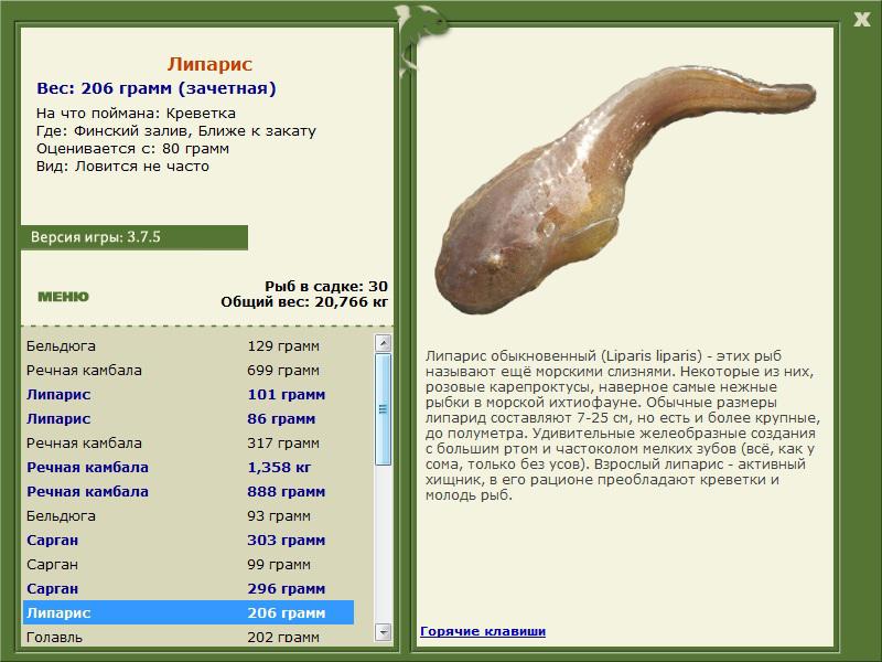 Ближе к закату 