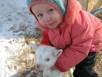 ФОРУМ ЛЮБИТЕЛЕЙ КОЛЛИ И ШЕЛТИ 