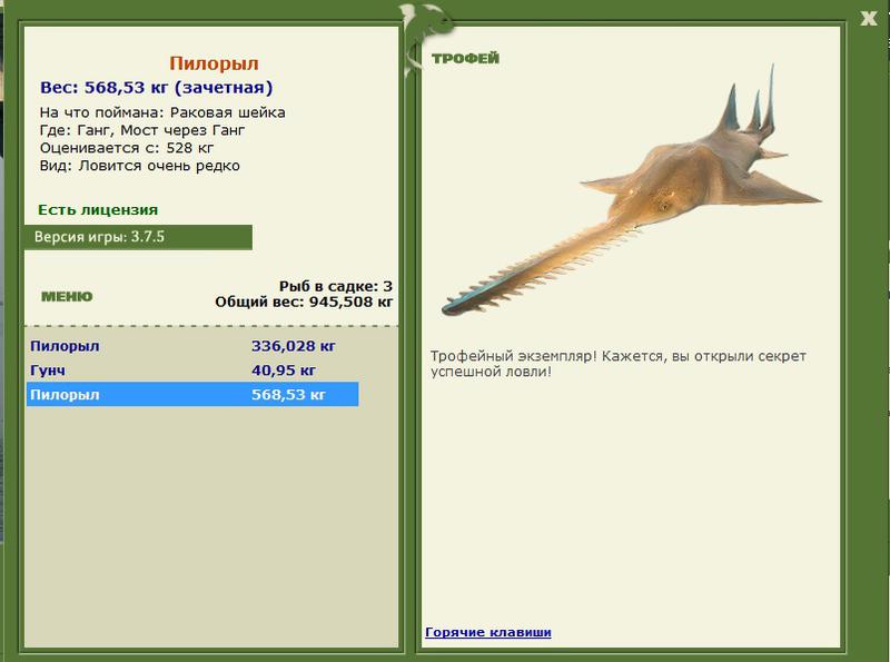 Пилорыл 