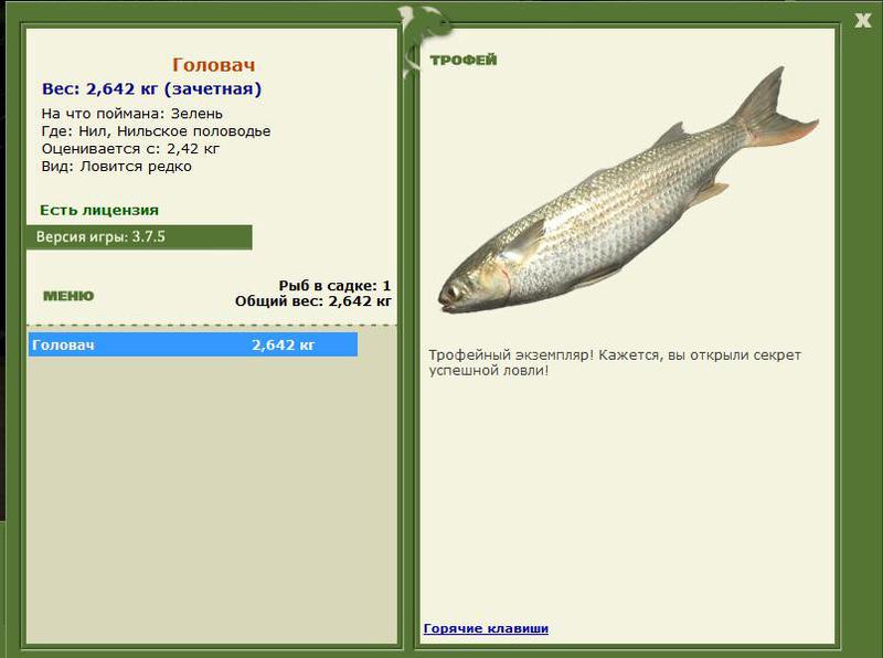РУССКАЯ РЫБАЛКА Installsoft Edition 