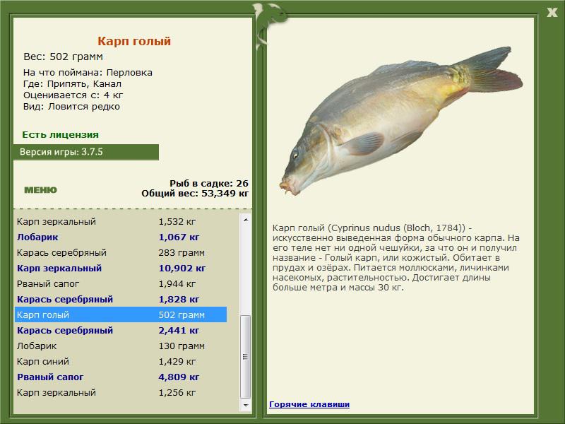 РУССКАЯ РЫБАЛКА Installsoft Edition 