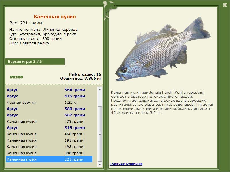 Крокодилья река 