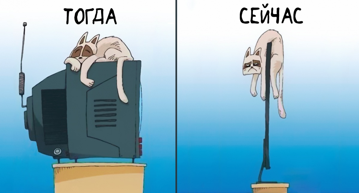  Телевизоры нового поколения. ЖК и Плазма.