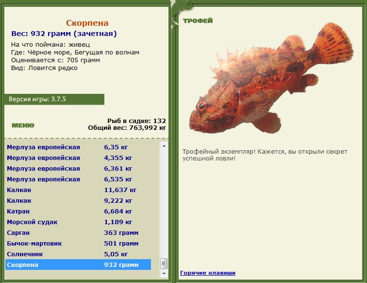 Заявки на рекорд 