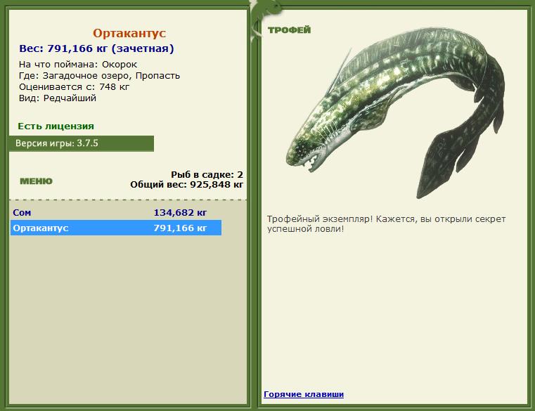 Заявки на рекорд 