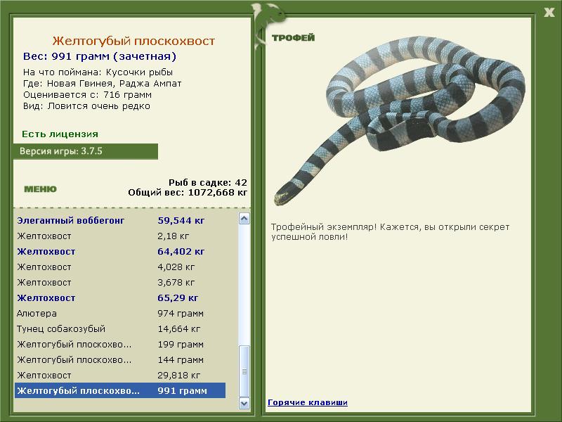 Желтогубый плоскохвост 