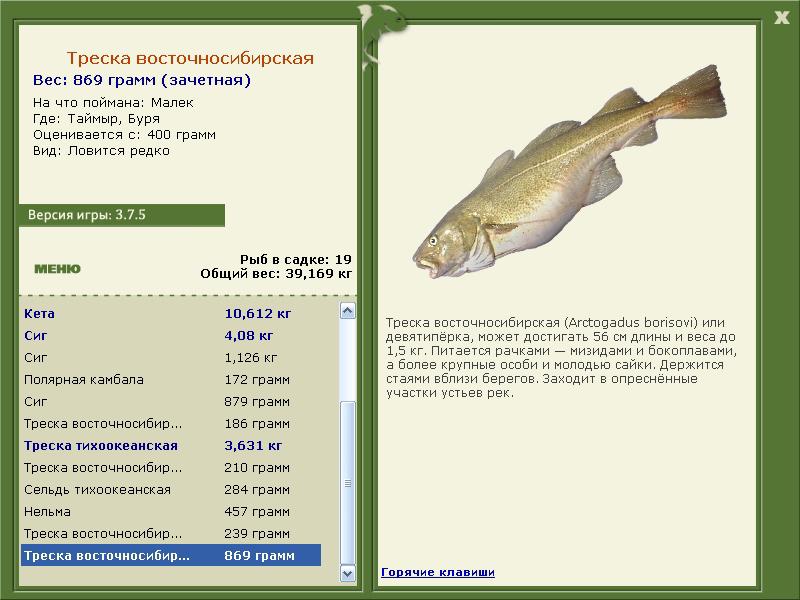 Буря 