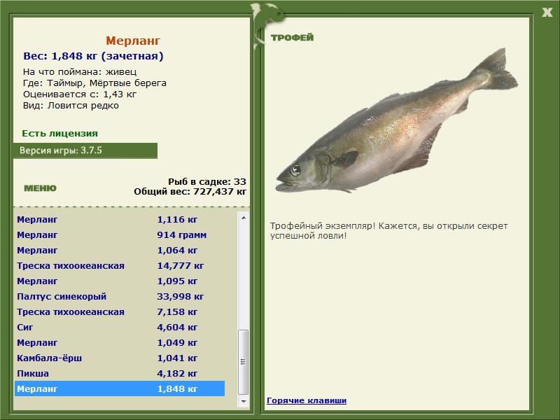 Мёртвые берега 