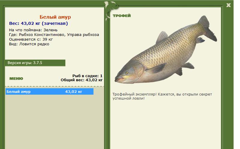 РУССКАЯ РЫБАЛКА Installsoft Edition 