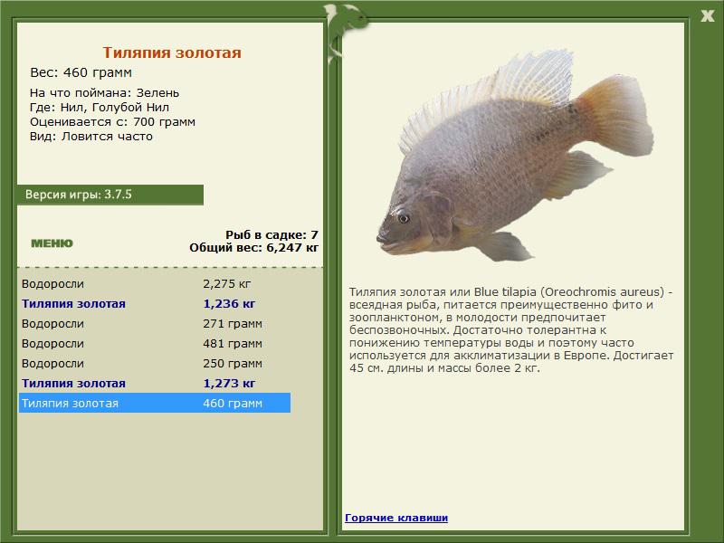 РУССКАЯ РЫБАЛКА Installsoft Edition 