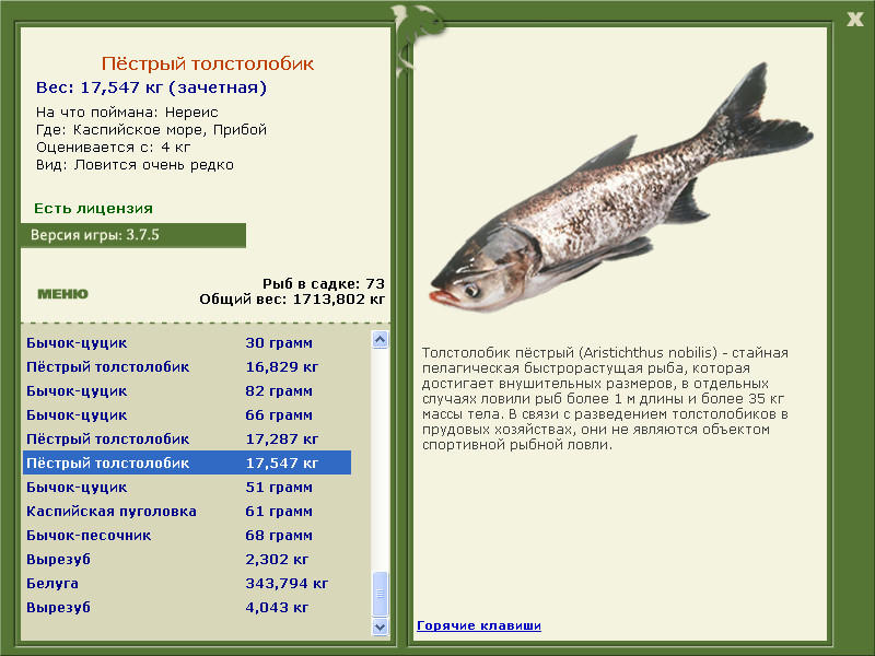 РУССКАЯ РЫБАЛКА Installsoft Edition 