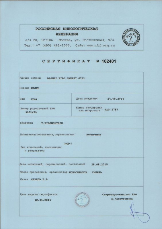 Изображение