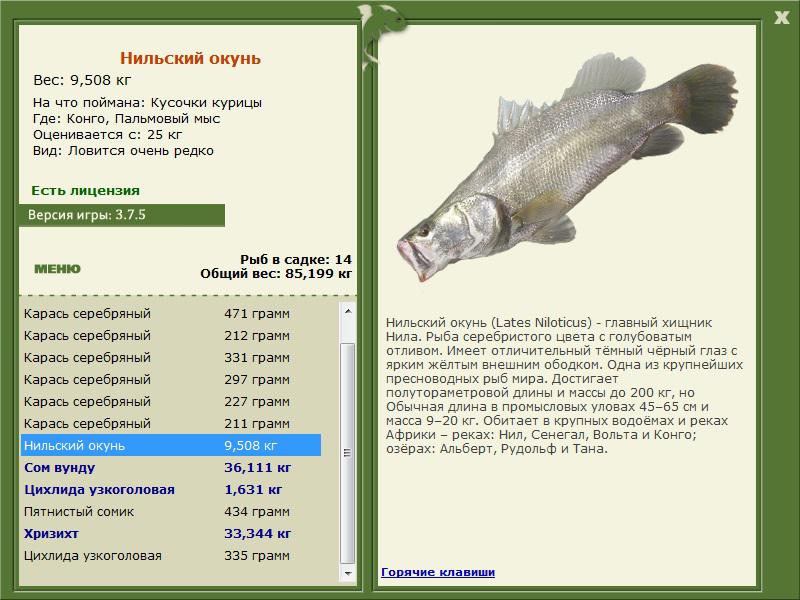 Пальмовый мыс 