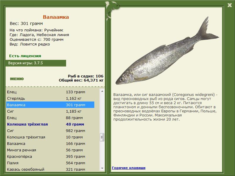 РУССКАЯ РЫБАЛКА Installsoft Edition 