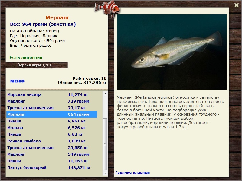 Ледник 