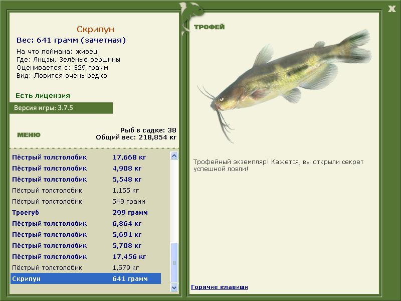 Скрипун 