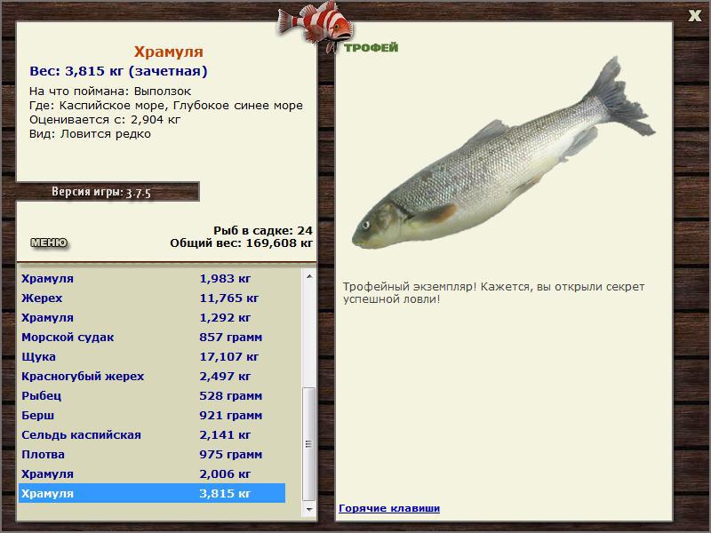 Храмуля 