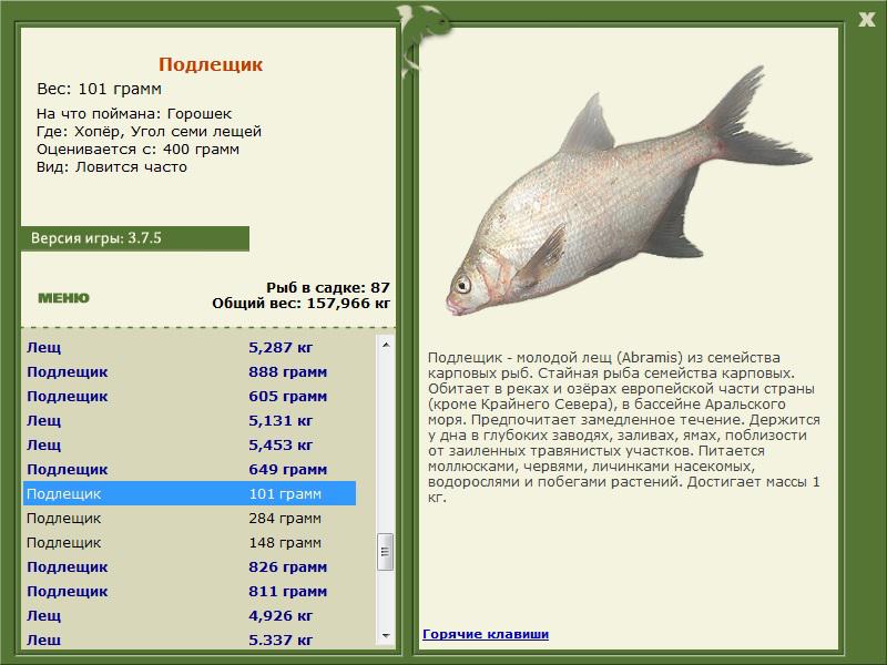 турниры • РУССКАЯ РЫБАЛКА