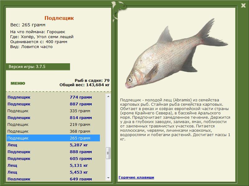 турниры • РУССКАЯ РЫБАЛКА