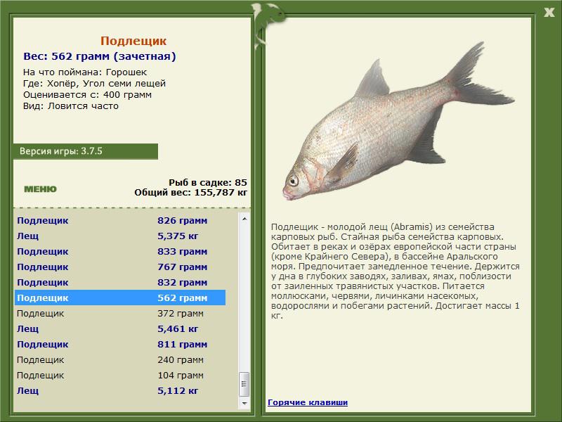 РУССКАЯ РЫБАЛКА Installsoft Edition 