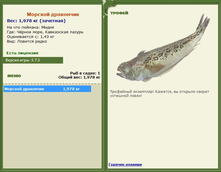 турниры • РУССКАЯ РЫБАЛКА