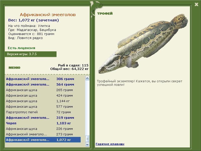 Африканский змееголов 