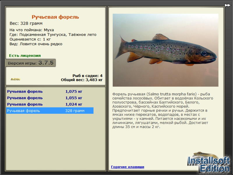 турниры • РУССКАЯ РЫБАЛКА