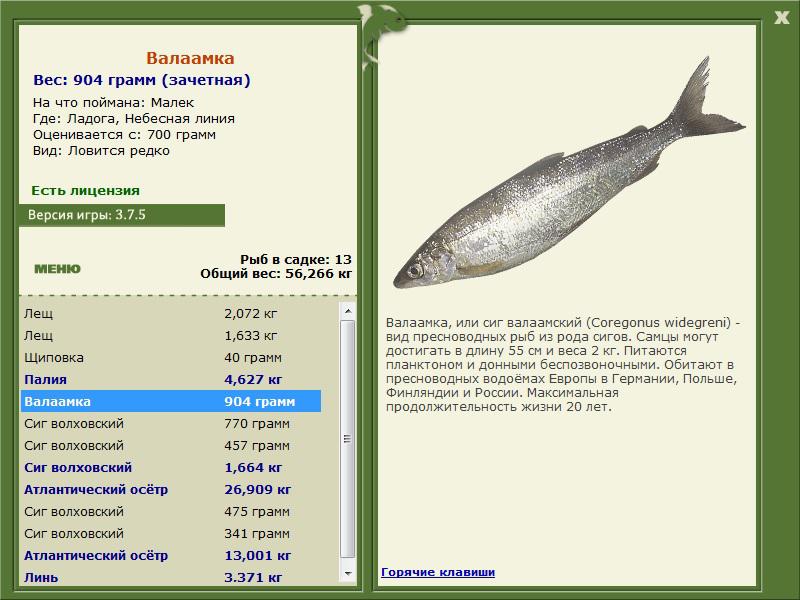 РУССКАЯ РЫБАЛКА Installsoft Edition 