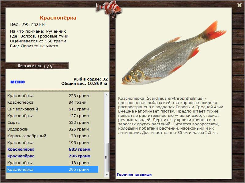 Грозовые тучи 