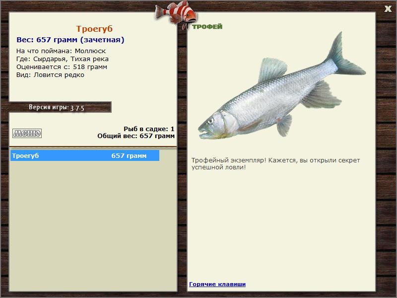 Троегуб 