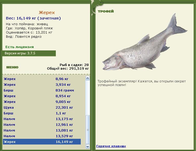турниры • РУССКАЯ РЫБАЛКА