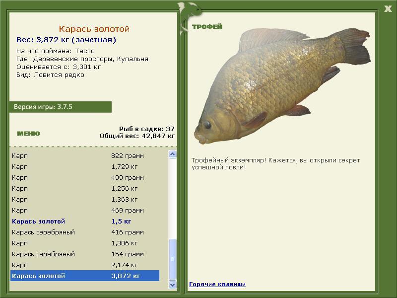 Купальня 