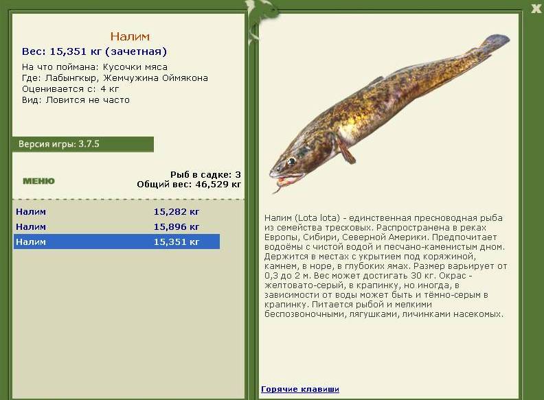 турниры • РУССКАЯ РЫБАЛКА