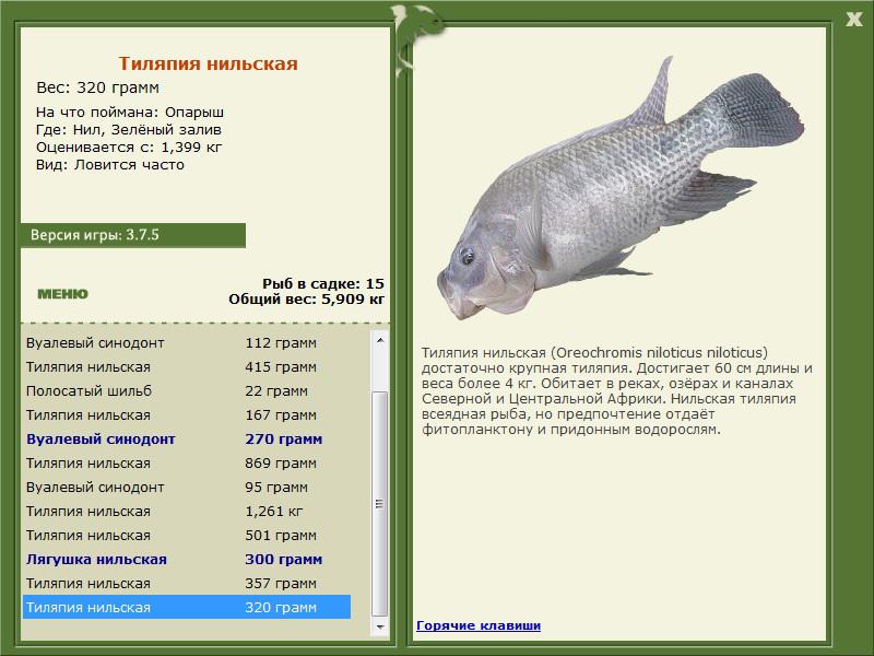 РУССКАЯ РЫБАЛКА Installsoft Edition 