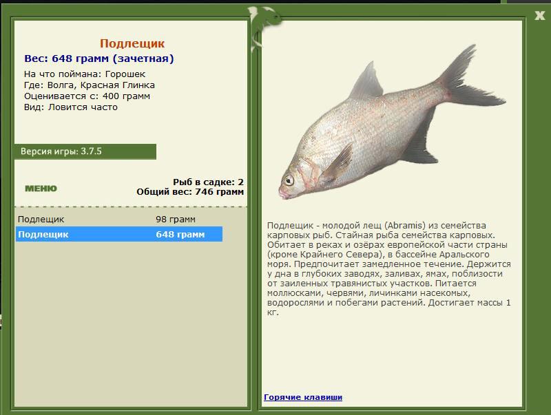 РУССКАЯ РЫБАЛКА Installsoft Edition 