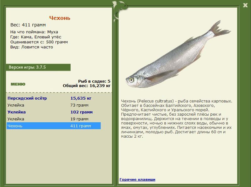 РУССКАЯ РЫБАЛКА Installsoft Edition 