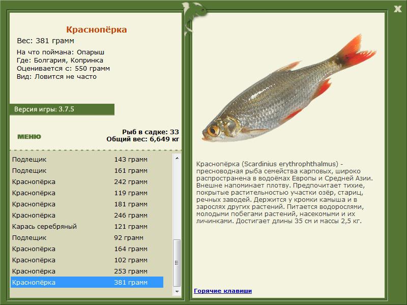 РУССКАЯ РЫБАЛКА Installsoft Edition 