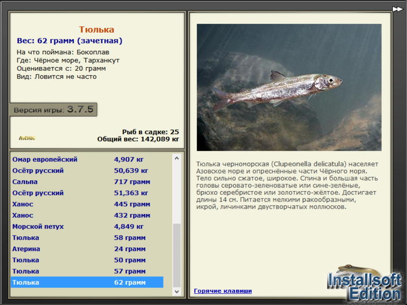 Чёрное море 